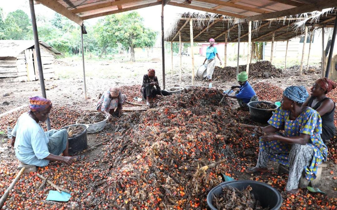 Disciplined Trade, Protected Jobs: Why the Cooking Oil Transit Directive Is a Necessary Intervention Disciplined Trade, Protected Jobs: Why the Cooking Oil Transit Directive Is a Necessary Intervention